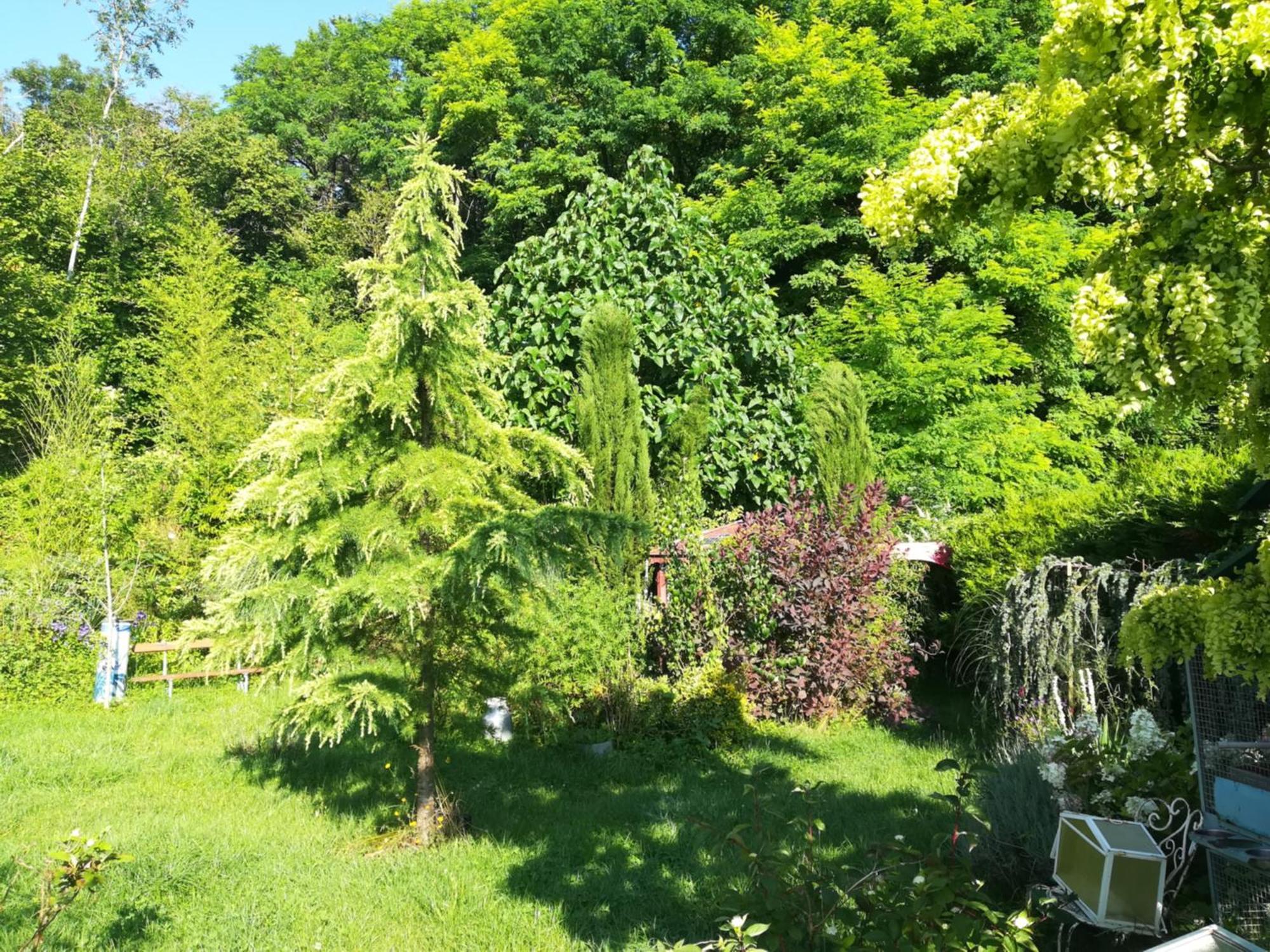 Apiculteur Loue 2 Chambres Dans Cadre Verdoyant Pagny-sur-Meuse エクステリア 写真